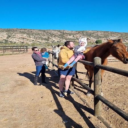 Laingsburg Rooilande Guest Farm 아파트 외부 사진