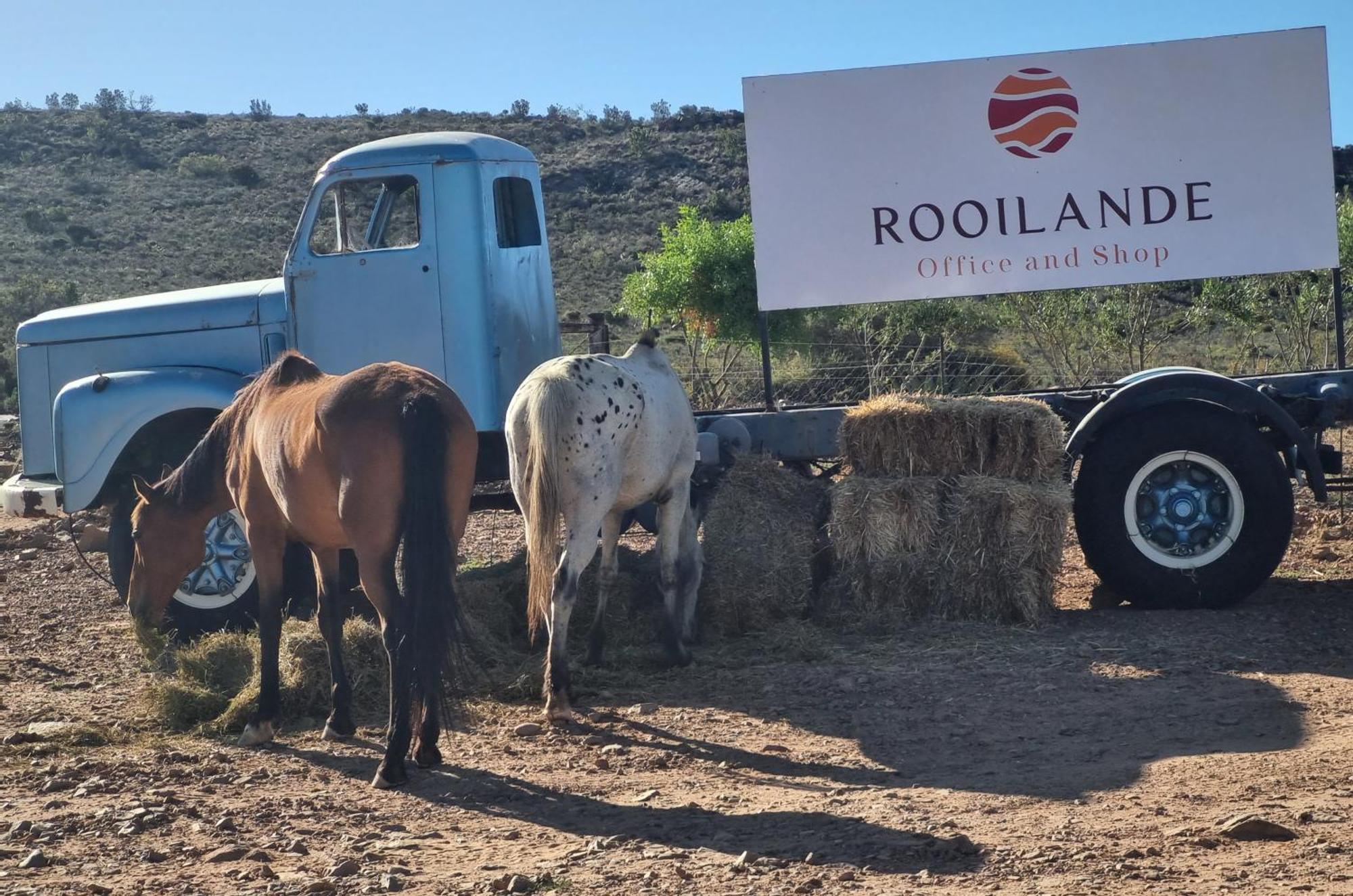 Laingsburg Rooilande Guest Farm 아파트 외부 사진