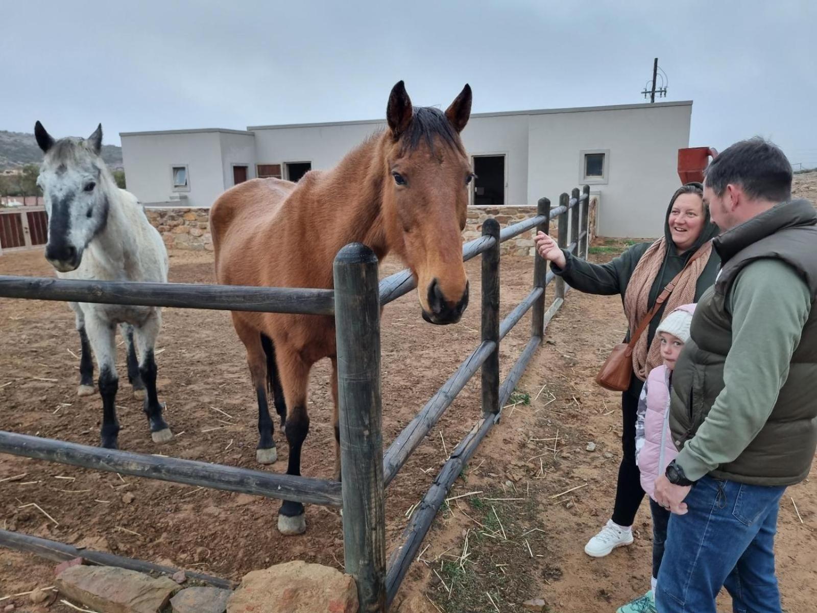 Laingsburg Rooilande Guest Farm 아파트 외부 사진